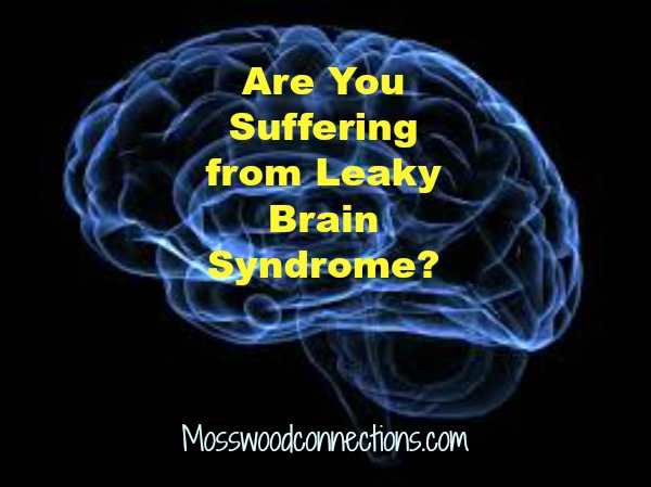Are You Suffering from Leaky Brain Syndrome? #parentinghumor #mosswoodconnections