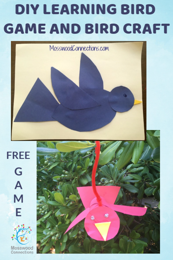 DIY LEARNING BIRD GAME AND BIRD CRAFT #mosswoodconnections #crafts #birds #DIYgame