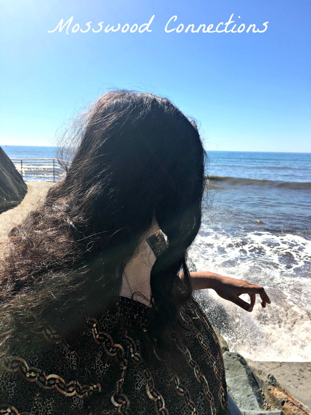 Usually, The Blue Goddess prefers to watch the ocean from the car but on our trip to San Diego, she was happy to get out and enjoy the view.