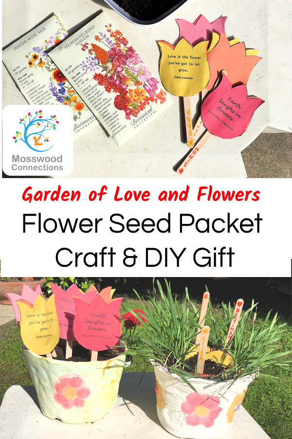 Make a flower seed packet craft and explore plant science!