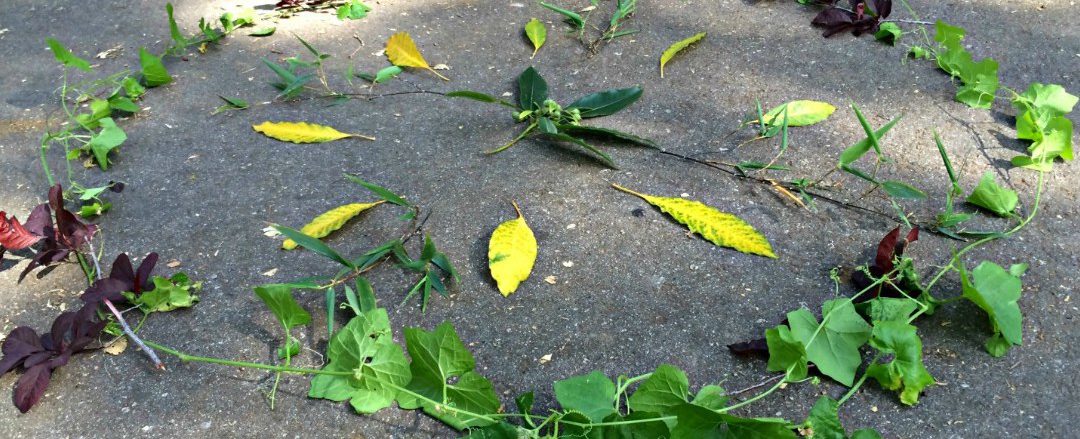 Nature Treasure Hunt Mandala Scavenger Hunt & Visual Processing Activity #mosswoodconnections