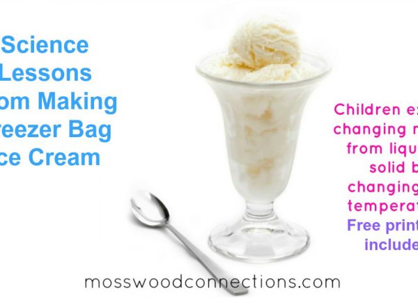 Science Lessons From Making Freezer Bag Ice Cream #mosswoodconnections #science #freezerbagicecream #activelearning #education #homeschool