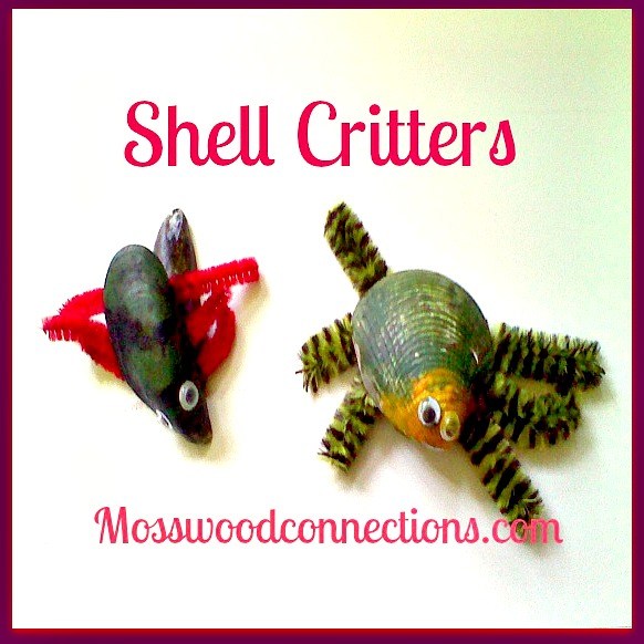 Shell-Critter Craft Project #mosswoodconnections