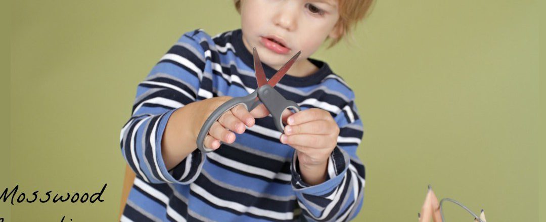Scissor Skills and Cutting Practice #mosswoodconnections #scissorskills #finemotor #preschool