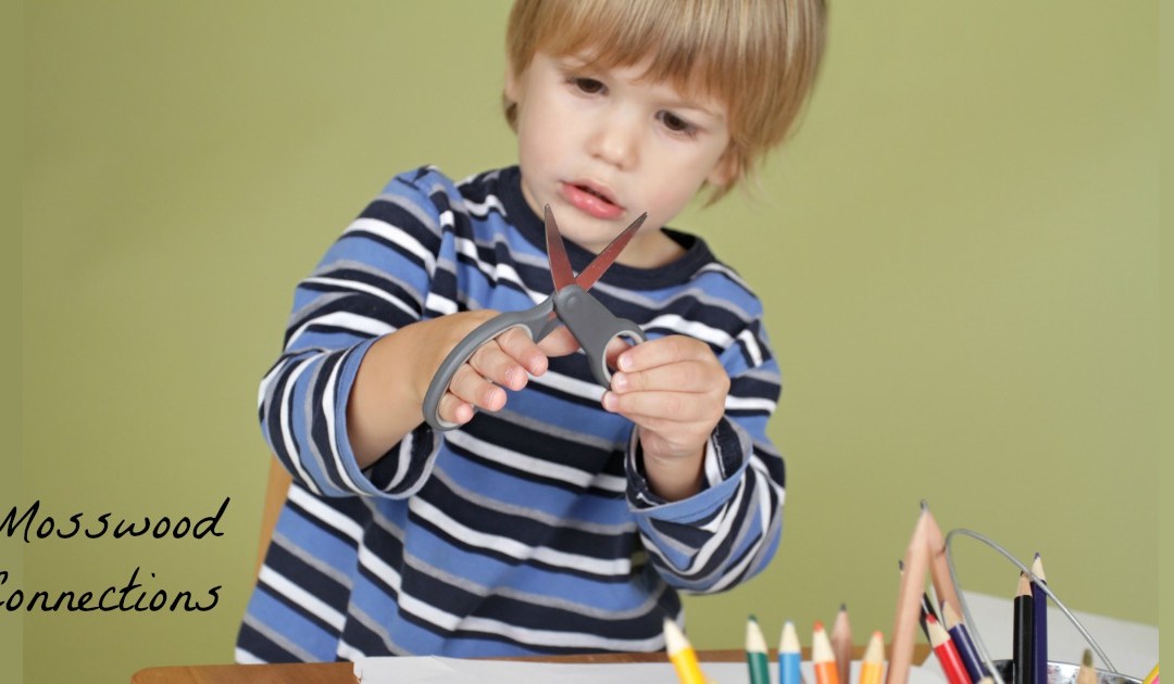 Help for the Hands - Fine Motor Fun Fine motor exercises and activities to strengthen the fingers and help with the hands. mosswoodconnections #handstrength #finemotor