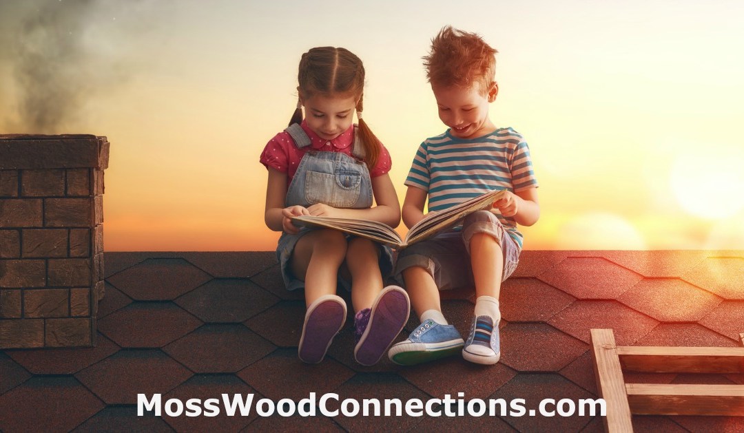 Drawing For Visualization & Reading Comprehension An early reading activity #mosswoodconnections #education #autism #homeschooling #reading