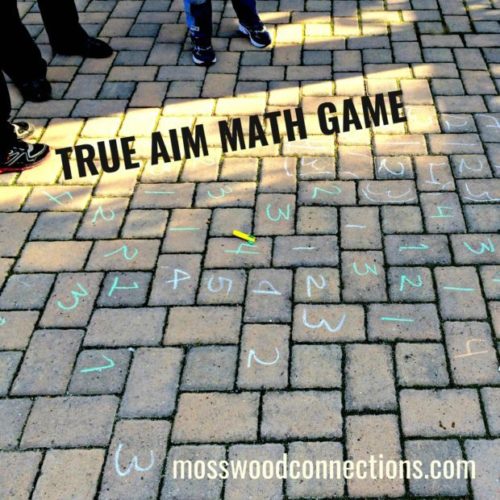 True Aim Math Game; An Active Math Game the Kids Love to Play #mosswoodconnections #mathfacts #learningthroughplay #education #homeschool