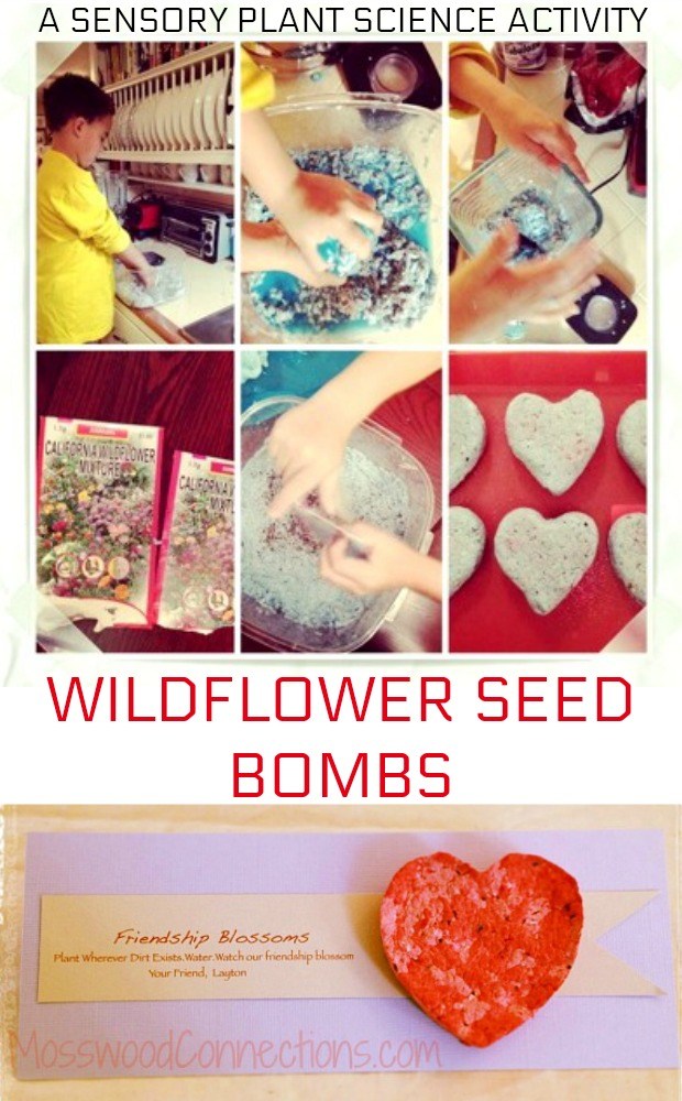 Wildflower Seed Bombs- a Sensory Garden Project #mosswoodconnections #gardeningwithkids #seedbombs #sensory #Valentine's
