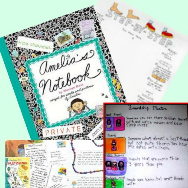 All About Amelia’s Notebook! Review, Resources and Activities #youngreaders #mosswoodconnections #booklessons #homeschooling #literacy #reluctantreaders #Ameliasnotebook