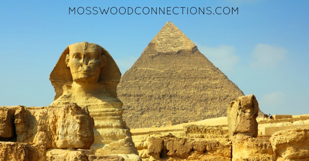 Free Online Educational Resources for Kids #homeschooling #mosswoodconnections #education