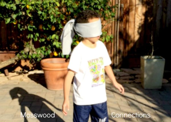 Auditory Hide and Seek: an Auditory Processing Game #mosswoodconnections #auditoryprocessing #activelearning #listeningskills #followingdirections