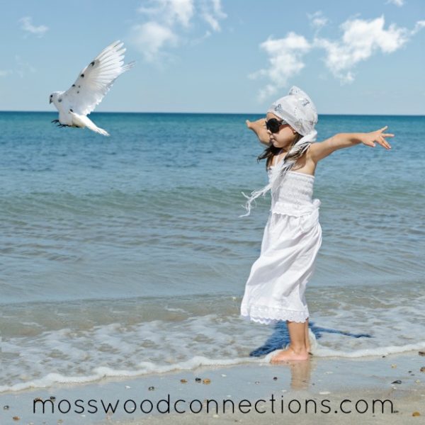  Bird Study Unit; Free Resources and Activities for Elementary Age Students #mosswoodconnections #science #animalscience #education #homeschooling #birdstudyunit