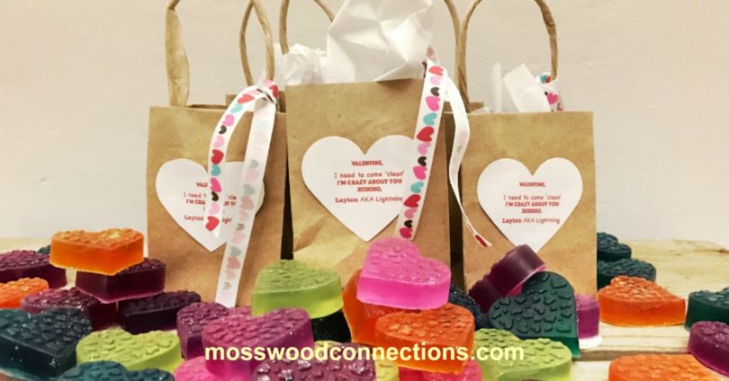 Clever Valentines the Whole Family Will Enjoy #mosswoodconnections #Valentines #crafts #non-candyvalentine #holidays