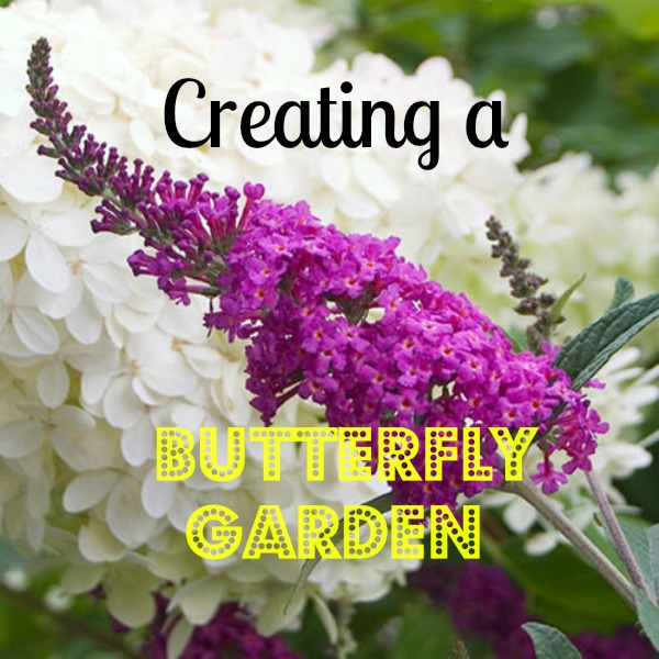 Creating a Butterfly Garden  #mosswoodconnections #science #butterfly #studyunit #education #homeschool