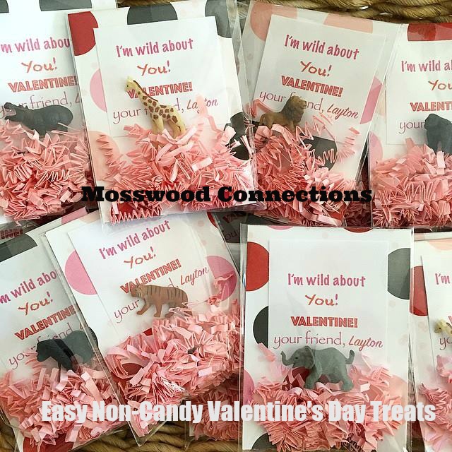 Easy Non-Candy Valentine’s Day Treats #mosswoodconnections #Valentines #crafts #non-candyvalentine #holidays #humor