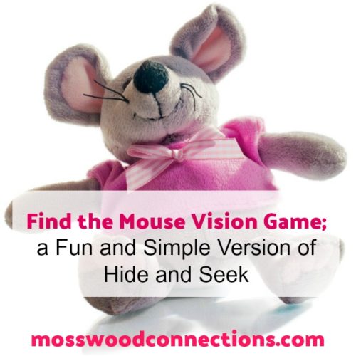 Find the Mouse Vision Game; a Fun and Simple Version of Hide and Seek  #mosswoodconnections #visualscanning #visionskills #hideandseekgame