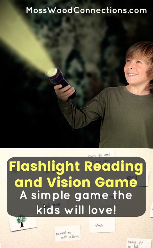 Flashlight Reading and Vision Game #mosswoodconnections #visualprocessing #visionskills #learningtoread #sightwords