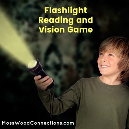 Flashlight Reading and Vision Game #mosswoodconnections #visualprocessing #visionskills #learningtoread #sightwords