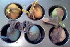 Decorate Nature Print Eggs with Natural Food Dye #decoratingeggs #holidays #mosswoodconnections 