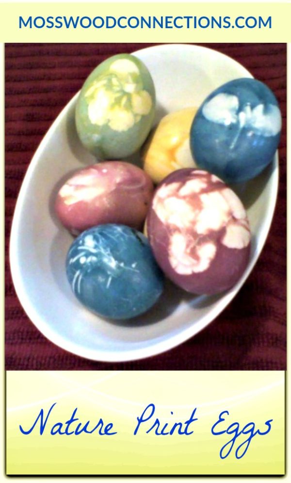 Decorate Nature Print  Dyed Eggs with Natural Food Dye #decoratingeggs #holidays #mosswoodconnections 
