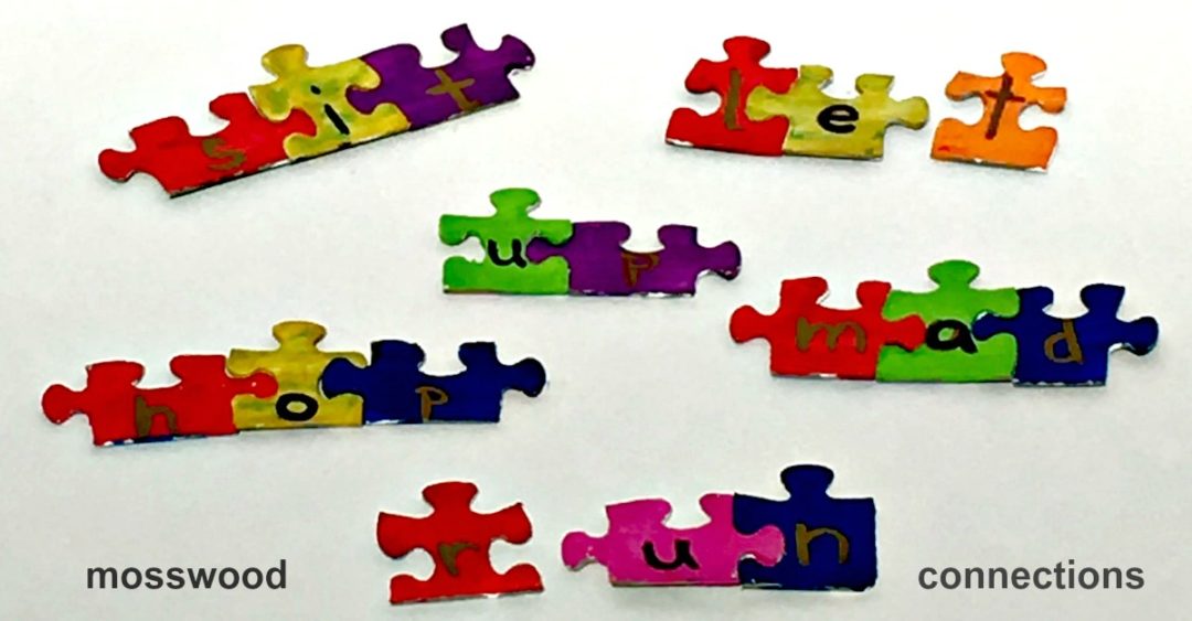 Puzzle Words: DIY Early Reading Skills Activity #mosswoodconnections #education #autism #homeschooling #preschool