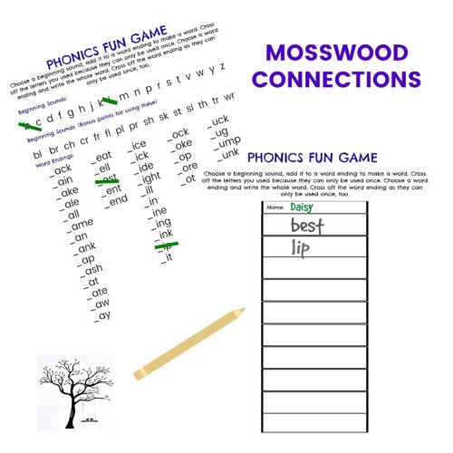 Ridiculous Reading Phonics Game #mosswoodconnections #education #phonics #homeschooling #reading