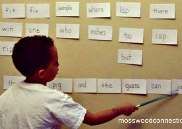 Wacky Words Sight Words Reading Game: your kids will love to learn to read with this activity. #mosswoodconnections #education #sightwords #homeschooling #reading