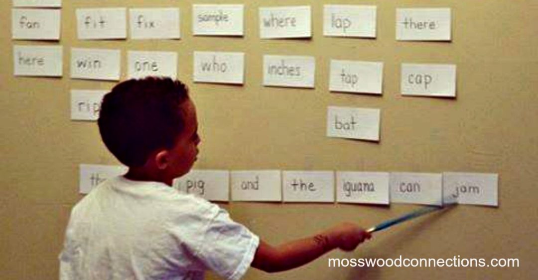 Why Sight Words Matter for Early Readers