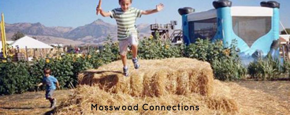 Tips for Teaching Social Skills to Kids #mosswoodconnections #autism #activelearning #socialskills #makingfriends