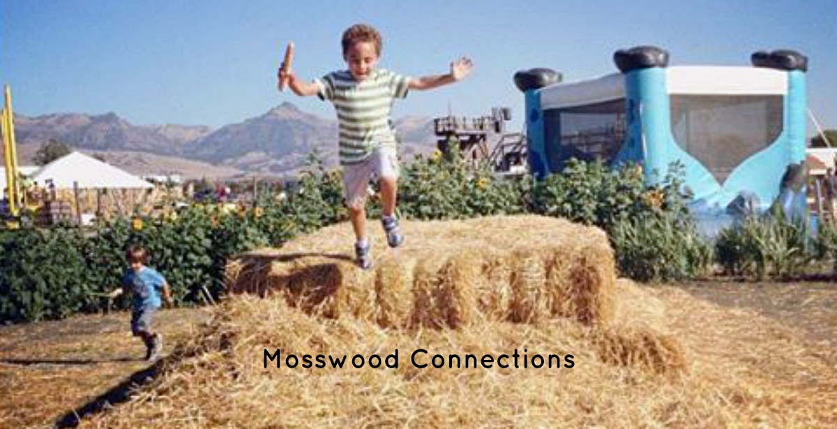 Tips for Teaching Social Skills to Kids #mosswoodconnections #makingfriends #friendshipadvice #autism #socialskills