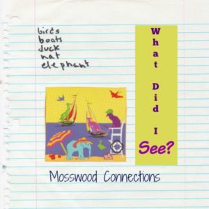 Visual Memory Games and Activities to Improve Vision Skills #mosswoodconnections #visualprocessing #visionskills #eyeexercises