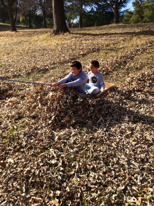 Yesterday the Magic Arrived in Large Cardboard Boxes: Going Box Sledding With the Kids! #outdoorfun #parenting #grossmotor #mosswoodconnections