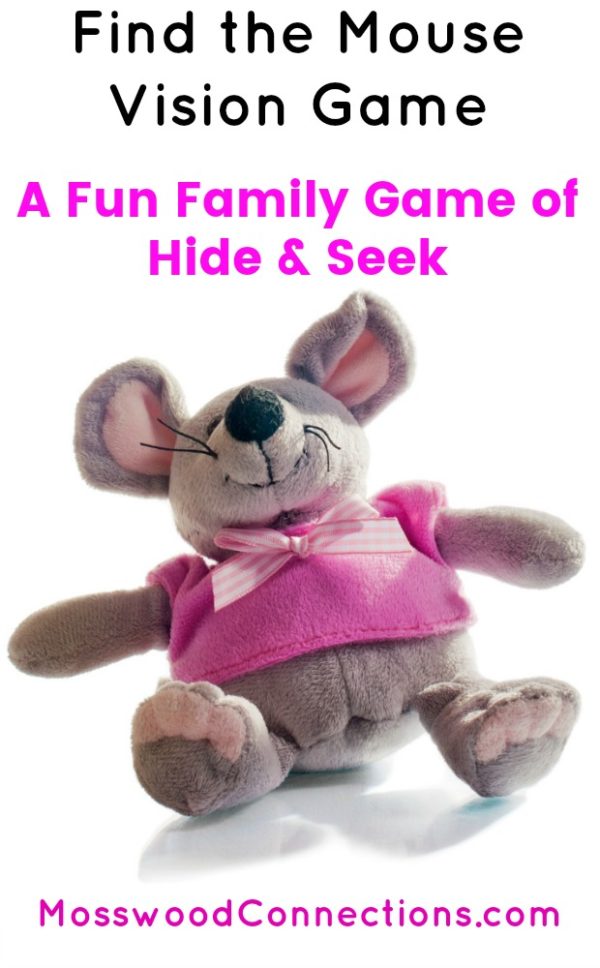 Find the Mouse Vision Game; a Fun and Simple Version of Hide and Seek  #mosswoodconnections #visualscanning #visionskills #hideandseekgame