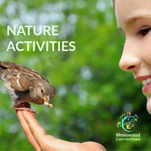 Forest Lessons_ Learning from Bird Nature Activities #mosswoodconnections #naturescience #forestschool #outdoorlearningactivities #educational #forestactivities