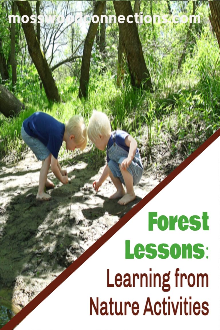 Forest Lessons_ Learning from Nature Activities Sit Spot #mosswoodconnections #natureactivities #naturescience #forestschool #outdoorlearningactivities #educational #forestactivities 