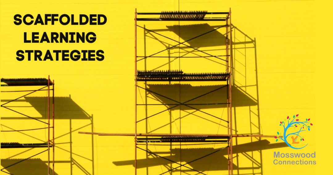 scaffolding children's problem solving